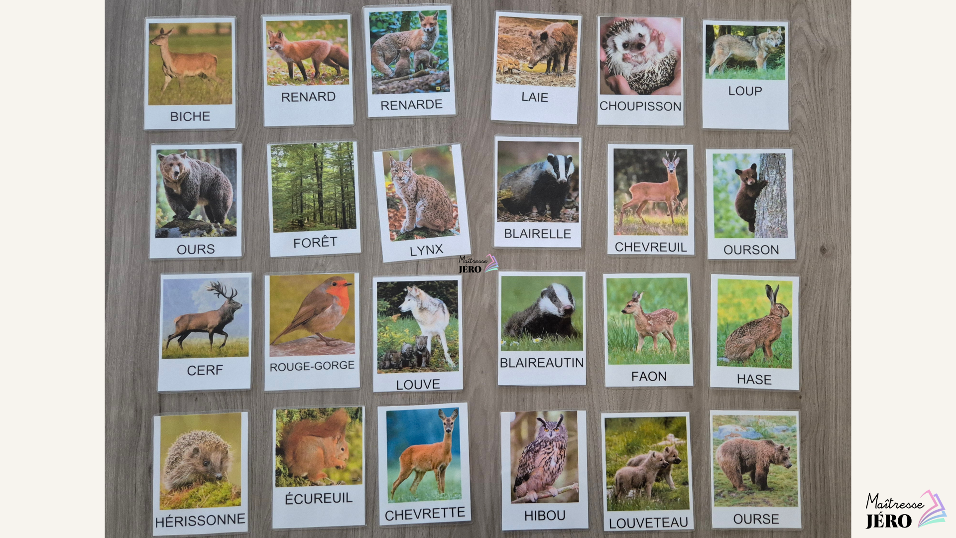 Vocabulaire animaux forêt